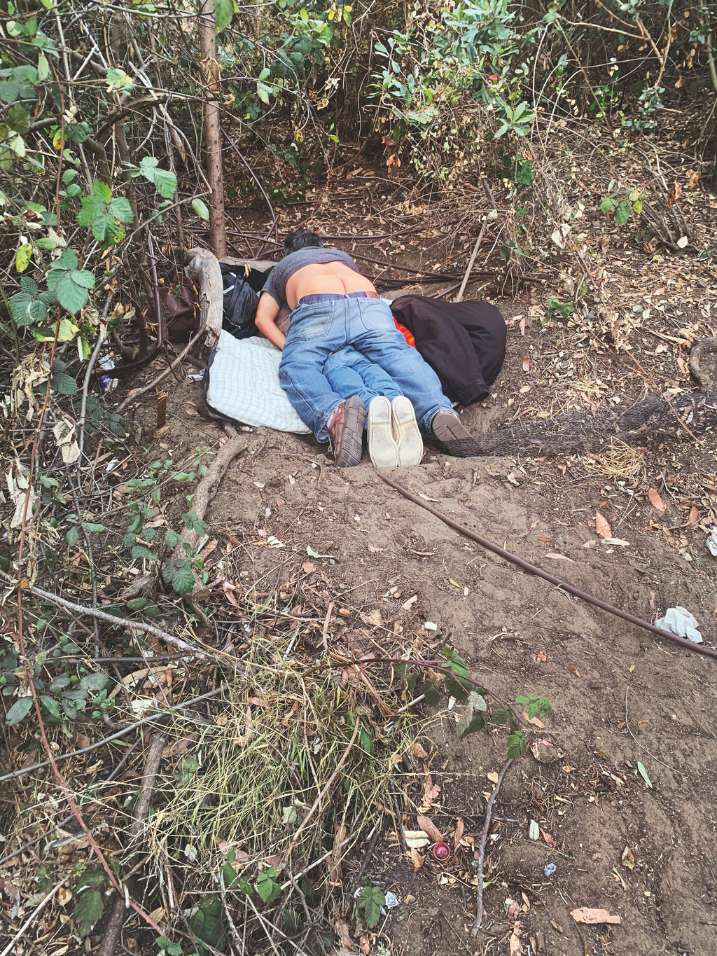 Daniel Case, Blue Pressure, 2020