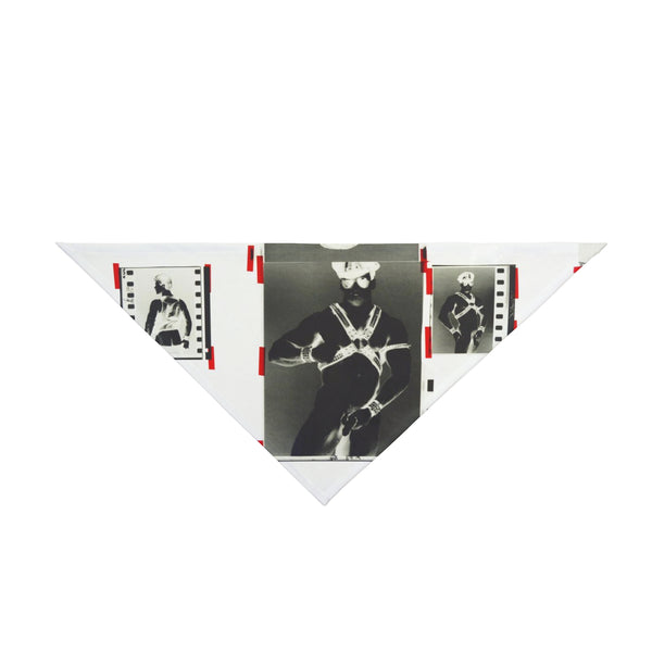 90S VINTAGE GAY PORN TRANSPARENCY Pet Bandana