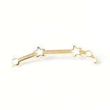 Constellations Aries Pin