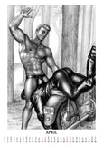 TOM OF FINLAND 2024 Wall Calendar by Salzgeber