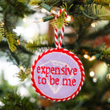 Expensive To Be Me Needlepoint Ornament