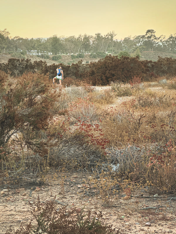 Daniel Case, Sunset Watch, 2023