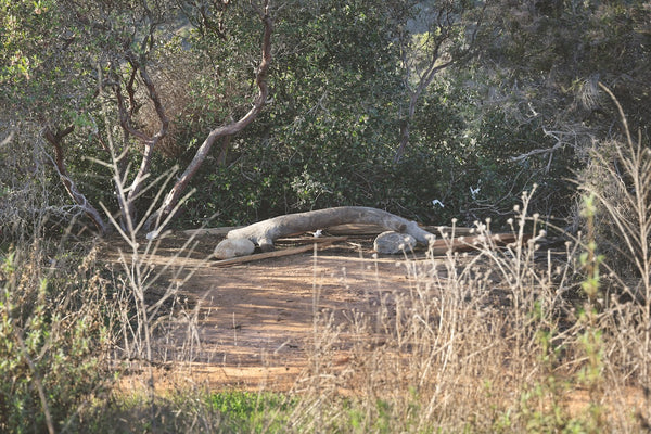 Daniel Case, Meeting Log, 2023