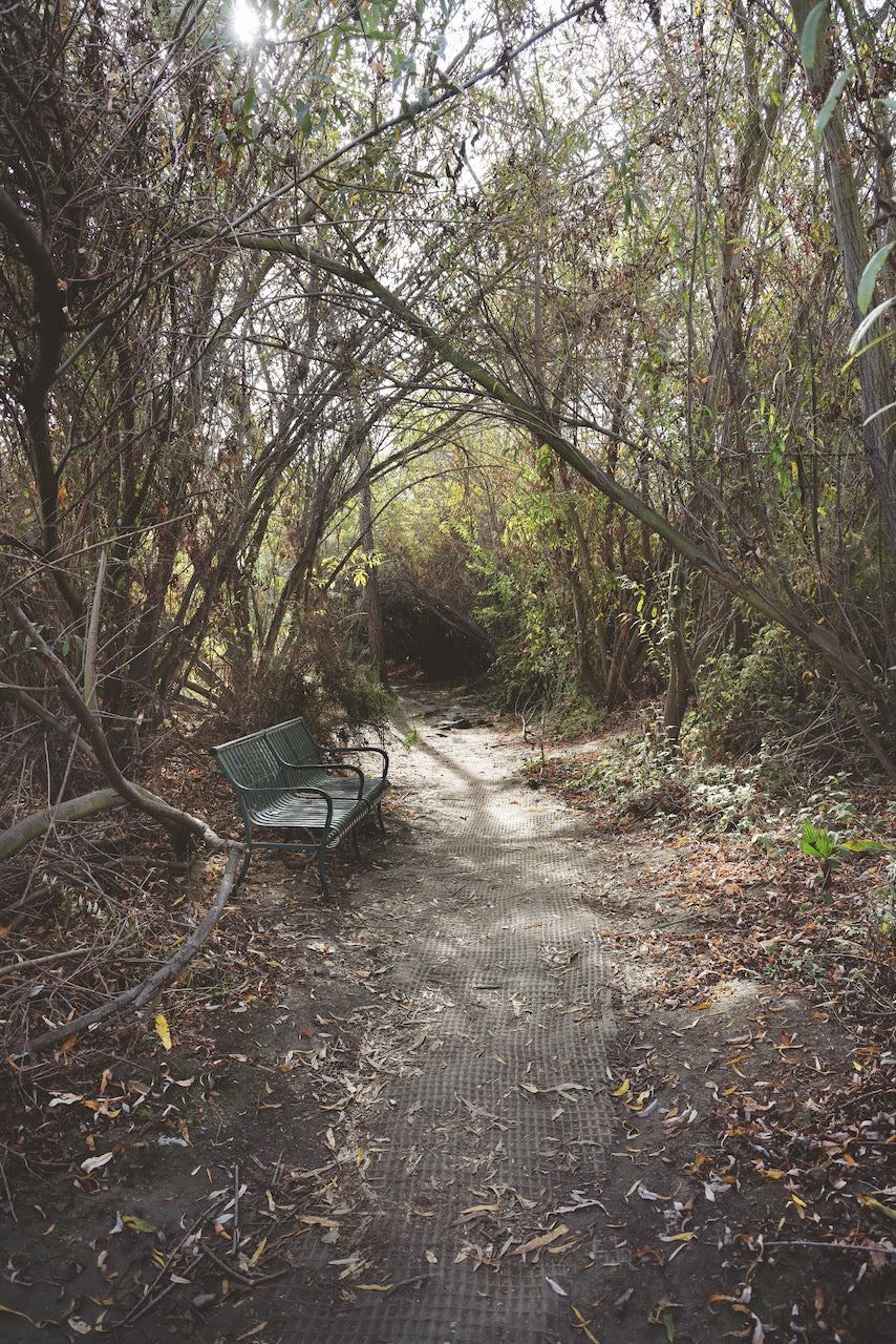 Daniel Case, River Bench, 2023