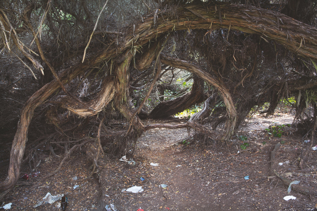 Daniel Case, Spiral, 2014