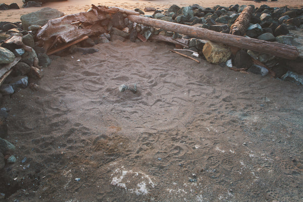 Daniel Case, Glow, 2014