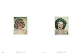 Andy Warhol: Velvet Rage and Beauty