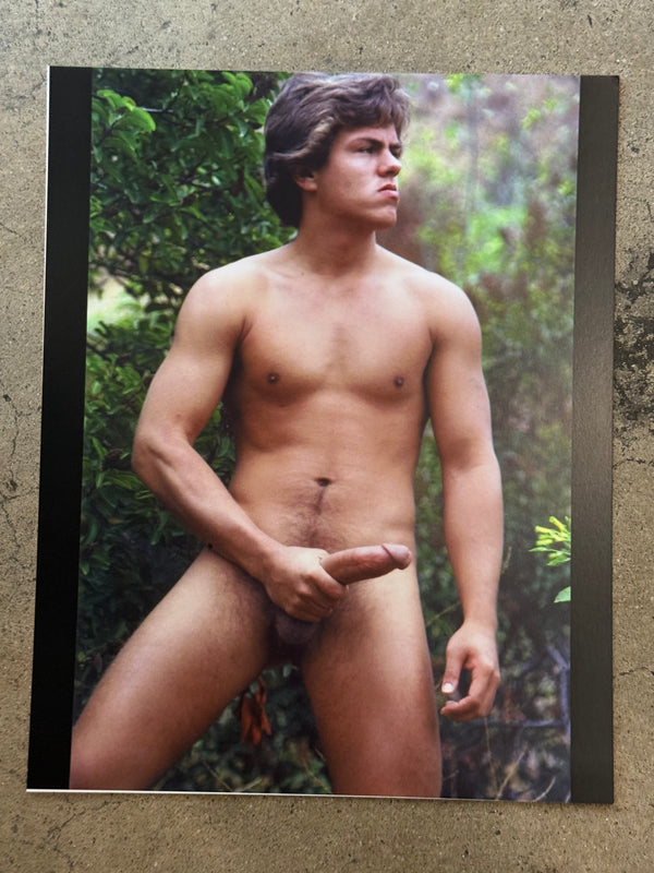 AARON STUDIOS: STEVE YORK #68