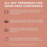 UNSCENTED DEODORANT BY PURE FOR MEN