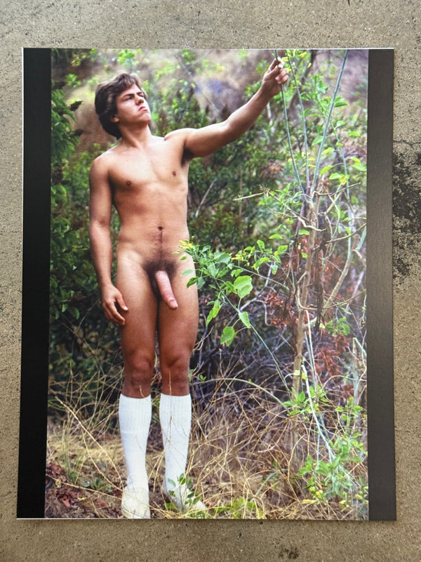 AARON STUDIOS: STEVE YORK #64