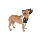 90S VINTAGE GAY PORN TRANSPARENCY Pet Bandana