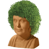 GOLDEN GIRLS CHIA PET DOROTHY