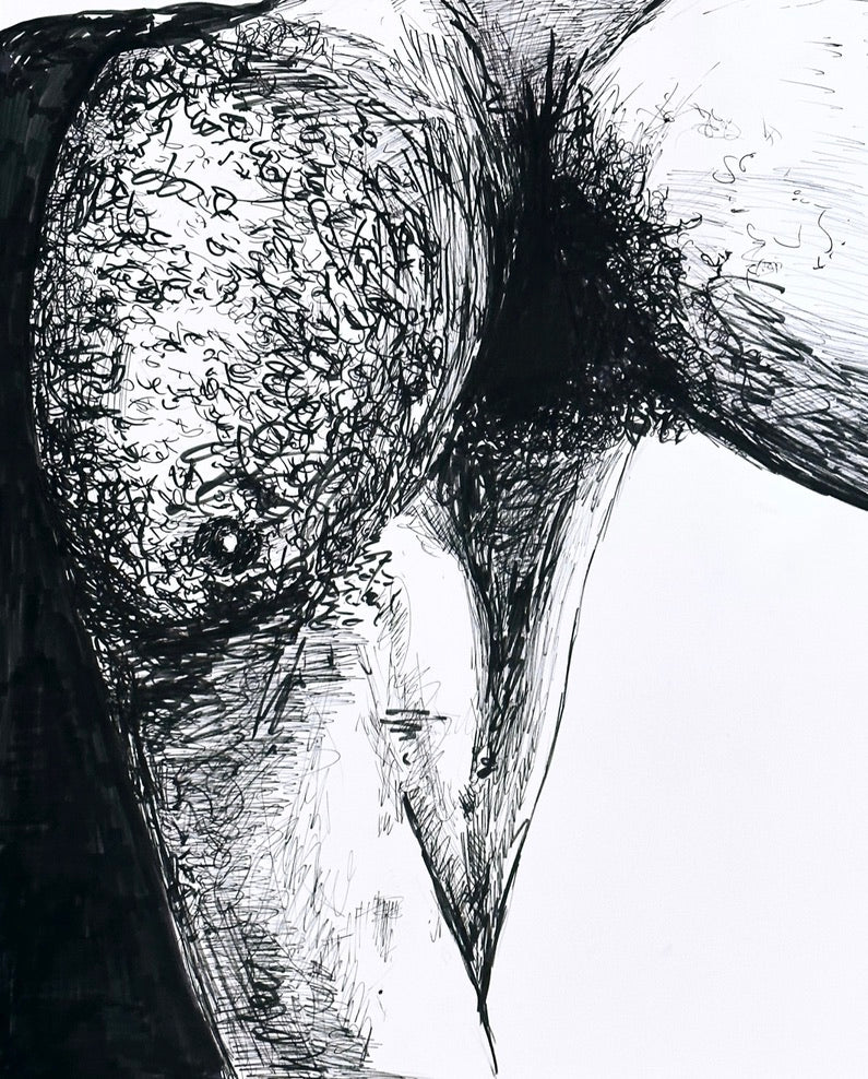 jason salstein, Pec, Pit, and Lat, 2024