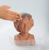 GOLDEN GIRLS CHIA PET ROSE