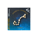 Constellations Scorpio Pin