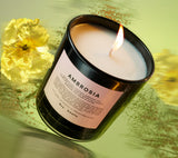 AMBROSIA SCENTED CANDLE BY BOY SMELLS
