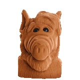 ALF CHIA PET