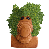 ALF CHIA PET