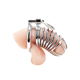 Deluxe Chastity Cock Cage by Blue Line