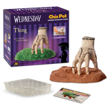THING CHIA PET