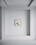 Etienne, untitled, 1979