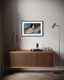 Velvet D'AMOUR, VMAS, 2009