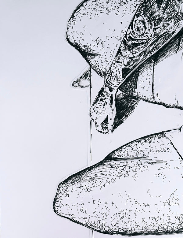 jason salstein, Quad City, 2023