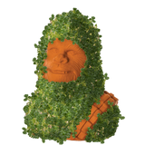 CHEWBACCA CHIA PET