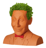 PEE-WEE HERMAN CHIA PET