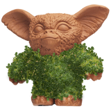 GIZMO CHIA PET