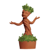 GROOT CHIA PET