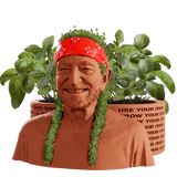 WILLIE NELSON CHIA PET HERB PLANTER