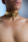 WALTER VAN BEIRENDONCK SS23 GOLD DOG COLLAR