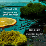 HERBACEOUS by BOY SMELLS
