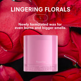 ROSALITA by BOY SMELLS