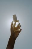 Poolboy Body Glow Oil