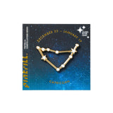 Constellations Capricorn Pin