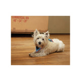 Jean-Michel Basquiat Hollywood Africans Bandana