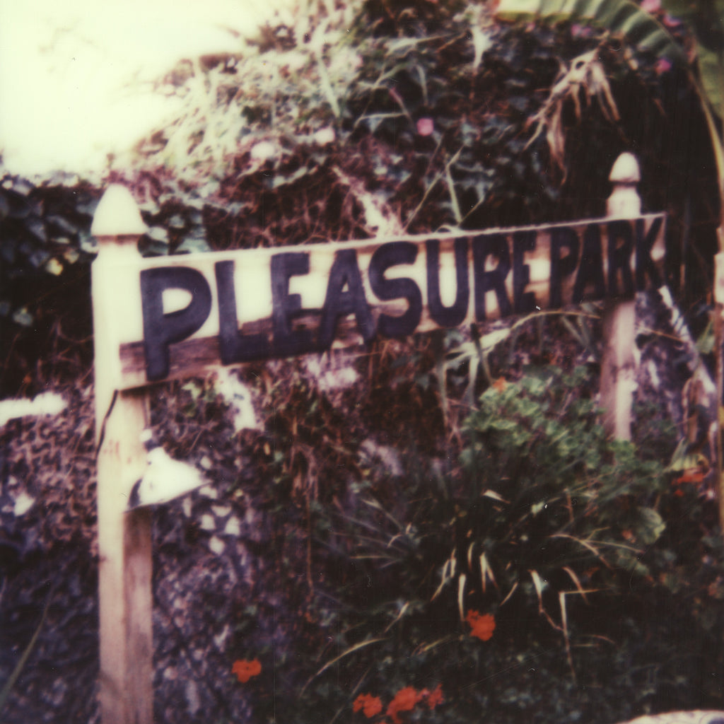 Stuart Sandford, It's Not Just A Garden It's A Pleasure Park, 2014