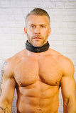 Tom of Finland Neoprene Collar