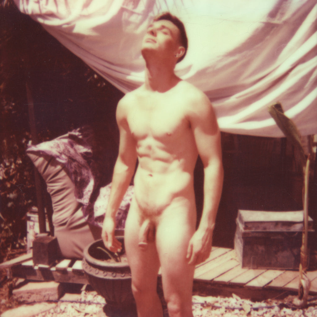 Stuart Sandford, Brent catching some rays in the garden, 2014