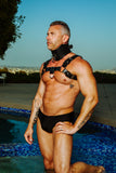 Locking Posture Collar by Strict Leather