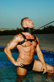 4 Foot Leash by Strict Leather