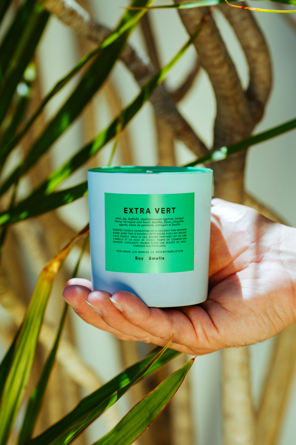 PRIDE EXTRA VERT SCENTED CANDLE BY BOY SMELLS