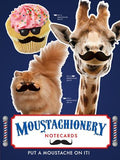 Moustachionery Notecard Set