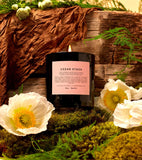 CEDAR STACK MAGNUM SCENTED CANDLE BY BOY SMELLS