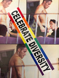 CELEBRATE DIVERSITY VINTAGE BUMBER STICKER