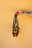 Mini Harness Leather Plant Hanger by Puritan Candy