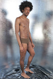 EDEN BRIEF CHOCOLATE BY THORNS