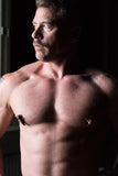 Tom of Finland Magnetic Screw Nipple Clamps